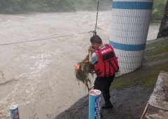 面前气象令人揪心:水位井曾经覆没正在浊浪